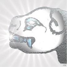 White Dog